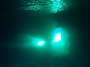 プランの魅力 underwater shining in the emerald! の画像