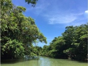 プランの魅力 国の天然記念物に指定されている宮良川♪ の画像