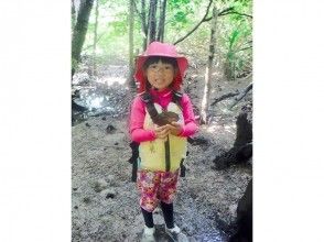 プランの魅力 Recommended for children! の画像
