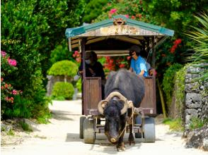 プランの魅力 特典：離島5％割引き無料券＆竹富島行き格安券有♪揺れずにエアコン付きの大型船で悠々快適、竹富島や西表島、離島へ！ の画像