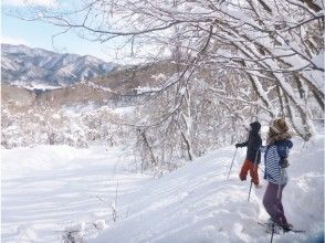 プランの魅力 雪遊び体験と雪景色の美しさをギュット凝縮し、半日で手軽に楽しめるツアーです。 の画像