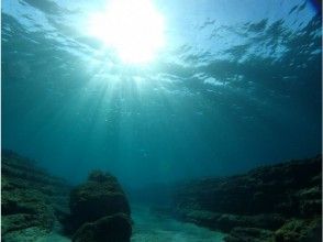 プランの魅力 水下世界 の画像