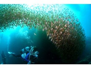 プランの魅力 魚影の濃さも冬ならでは！ の画像