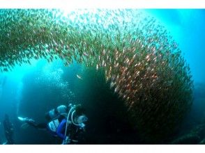 プランの魅力 魚影の濃さも冬ならでは！ の画像