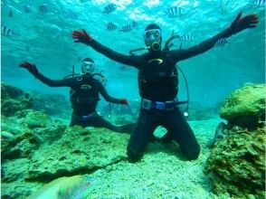 プランの魅力 没有透明度 の画像