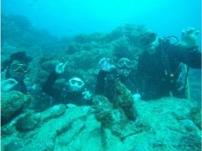 プランの魅力 シーサーもお出迎え(^^♪ の画像