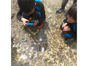 プランの魅力 写真・4K動画データ無料プレゼント♬ の画像
