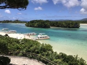 プランの魅力 川平湾グラスボート特別割引券25%OFFでオプション購入可! の画像