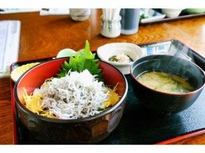 プランの魅力 Gourmet too! の画像