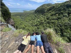 プランの魅力 Enjoy the spectacular view from the top of Pinaisara Falls, the tallest waterfall in Okinawa with a drop of 55m! の画像