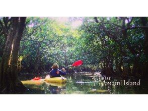プランの魅力 原生林でのマングローブカヌー の画像