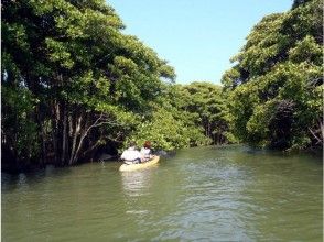 プランの魅力 支流へと入り込んで行きます。 の画像