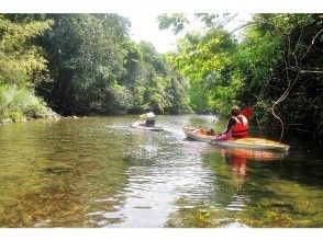 プランの魅力 水の透明度にびっくり！ の画像