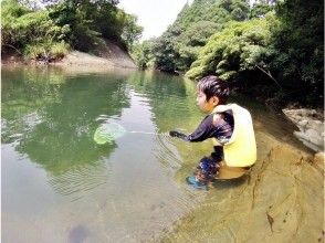 プランの魅力 魚に集中！ の画像