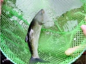 プランの魅力 大物が釣れることも！ の画像