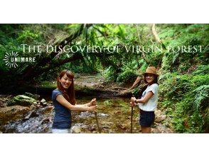 プランの魅力 Image of trekking in a virgin forest の画像