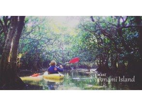 プランの魅力 Mangrove canoeing is an extraordinary space! の画像