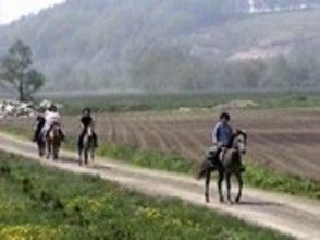 プランの魅力 In Shikaoi Town, there is a course for endurance competition, and there are many "horse roads" dedicated to horses. の画像