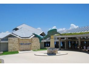 プランの魅力 お得な美ら海水族館チケット付きプラン！！ の画像