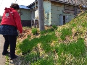 プランの魅力 春の山菜がたくさん！！ の画像