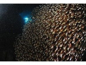 プランの魅力 水下燈免費出租 の画像