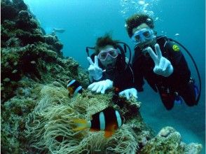 プランの魅力 ทะเลไอดอล! Anemonefish ☆ の画像