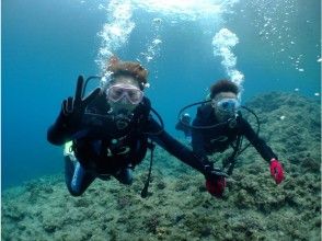 プランの魅力 空を飛んでるような気分 の画像