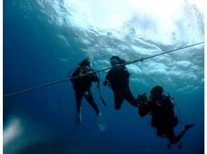 プランの魅力 ช้าตามจังหวะของคุณเอง の画像