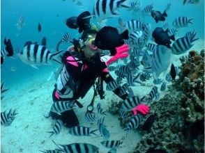 プランの魅力 お魚パラダイス の画像