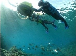 プランの魅力 泳ぎが苦手でも安心！ の画像