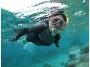 プランの魅力 気軽に楽しめる! の画像