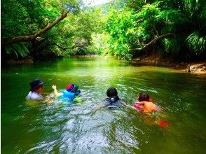 プランの魅力 すいすい気持ちい～ の画像