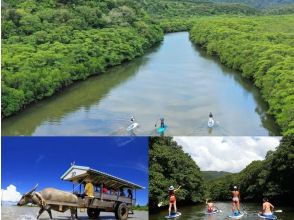 プランの魅力 世界自然遺産：西表島と由布島の２島満喫 の画像