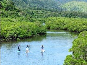 プランの魅力 ＳＵＰ初心者も大丈夫。プロガイドが案内 の画像