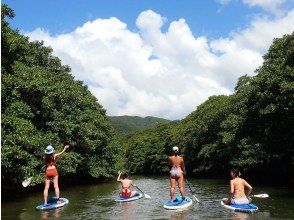 プランの魅力 立ち漕ぎ、座り漕ぎどちらもOK！ の画像