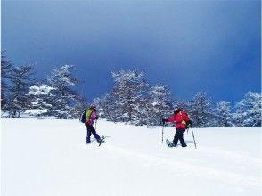 プランの魅力  の画像