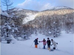 プランの魅力  の画像