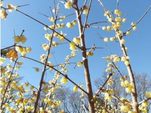 プランの魅力  の画像