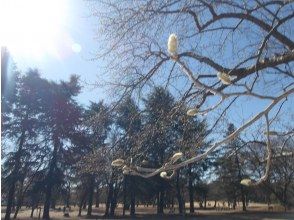 プランの魅力  の画像