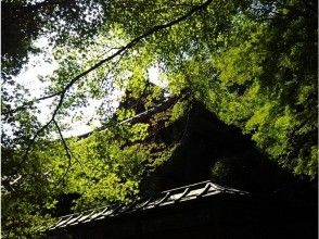 プランの魅力 の画像