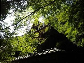 プランの魅力 の画像