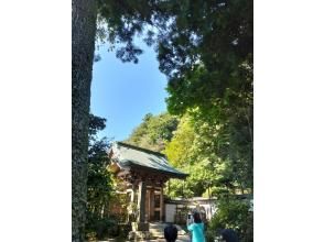 プランの魅力 の画像