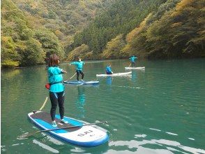 プランの魅力  の画像