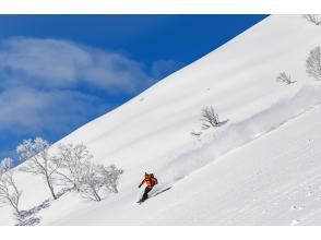 プランの魅力 Our guides have over 20 years of experience and will guide you to the best locations to suit your needs and the weather. の画像