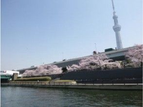 プランの魅力 隅田公園 の画像