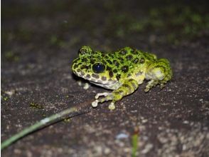 プランの魅力 日本一美しい! の画像