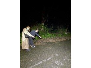 プランの魅力 ヒメハブに遭遇 の画像