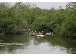 プランの魅力 ちょっと狭い川幅 の画像