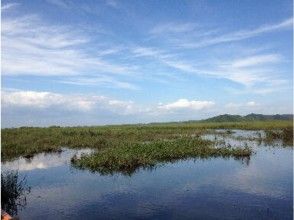 プランの魅力 こんな湿原地帯 の画像