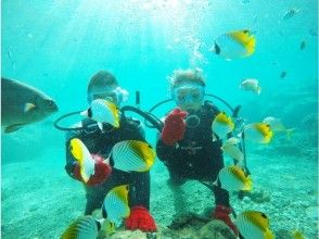 プランの魅力 沖繩特有的色彩繽紛的熱帶魚♪ の画像